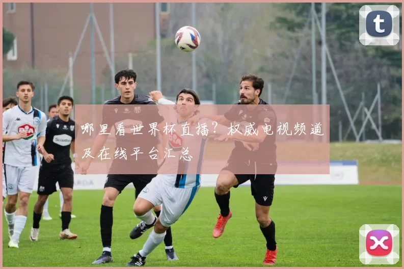 哪里看世界杯直播?权威电视频道及在线平台汇总