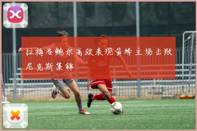 拉梅洛鲍尔高效表现黄蜂主场击败尼克斯集锦