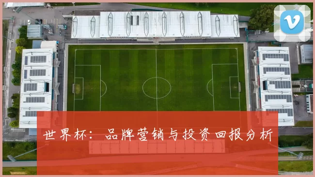 世界杯:品牌营销与投资回报分析