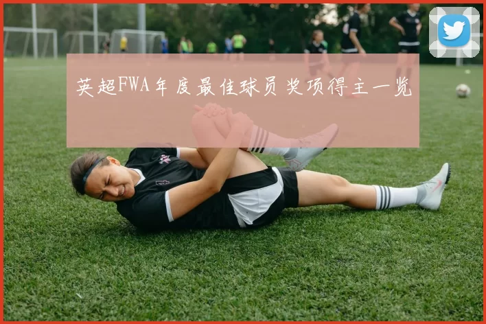 英超FWA年度最佳球员奖项得主一览