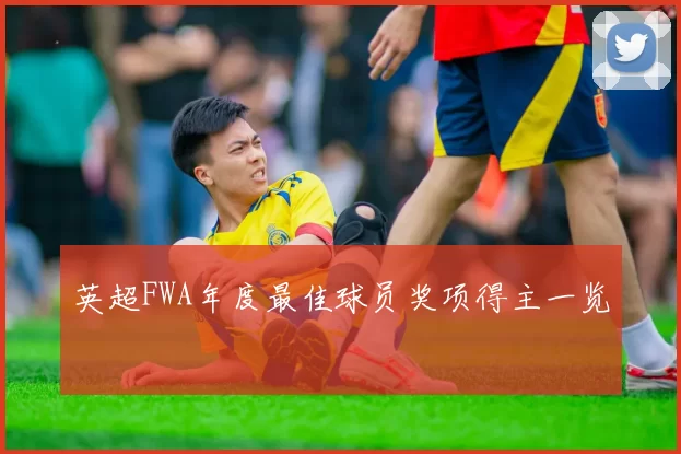 英超FWA年度最佳球员奖项得主一览