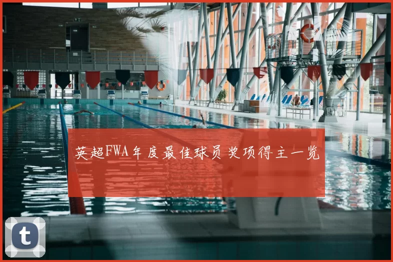 英超FWA年度最佳球员奖项得主一览