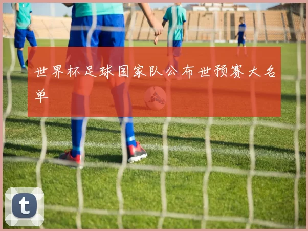 世界杯足球国家队公布世预赛大名单