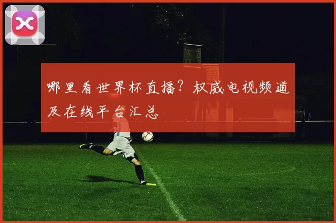 哪里看世界杯直播?权威电视频道及在线平台汇总