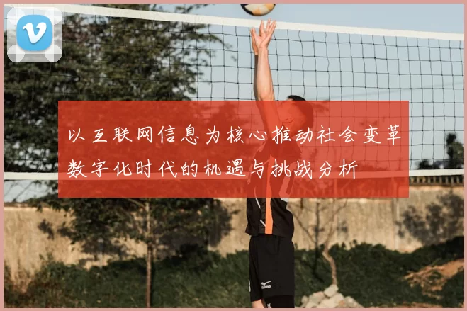 以互联网信息为核心推动社会变革数字化时代的机遇与挑战分析