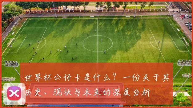 世界杯公仔卡是什么?一份关于其历史、现状与未来的深度分析