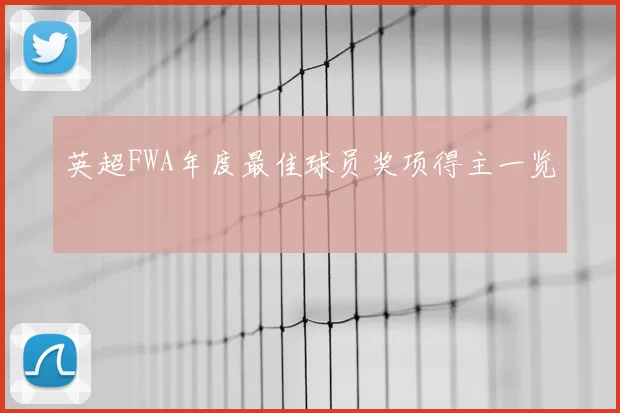 英超FWA年度最佳球员奖项得主一览