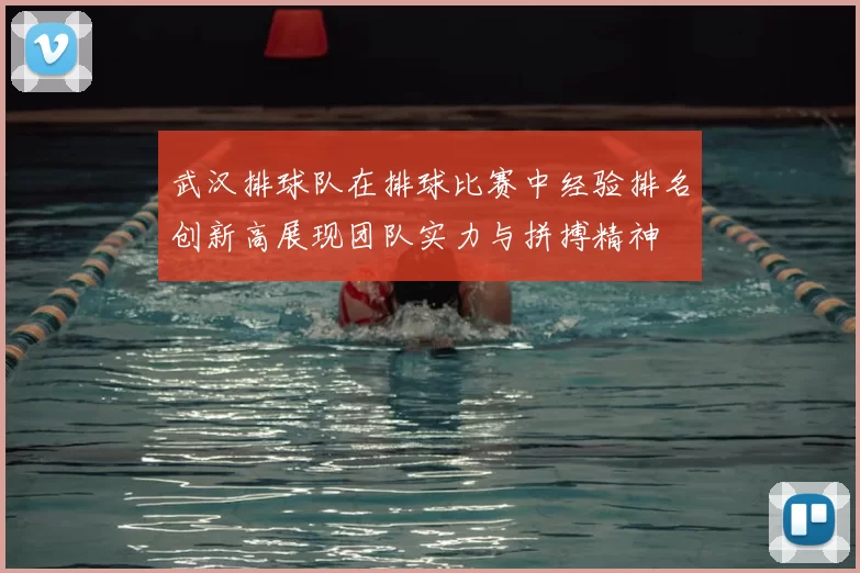 武汉排球队在排球比赛中经验排名创新高展现团队实力与拼搏精神