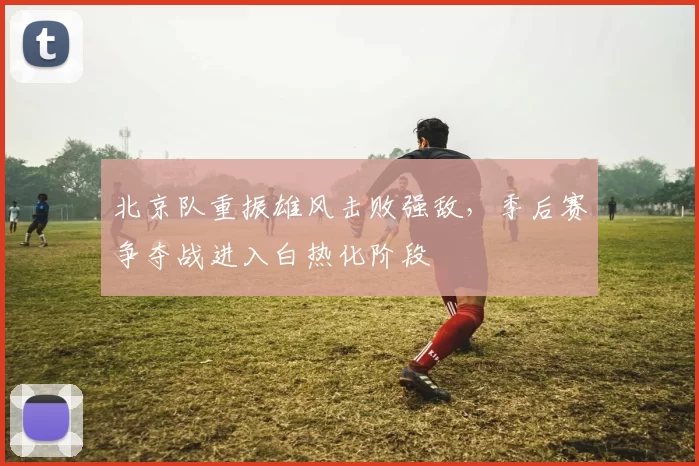北京队重振雄风击败强敌，季后赛争夺战进入白热化阶段