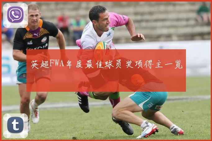 英超FWA年度最佳球员奖项得主一览