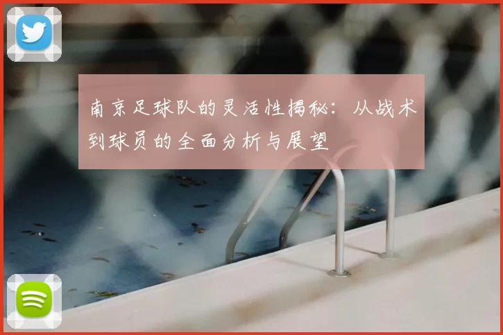 南京足球队的灵活性揭秘：从战术到球员的全面分析与展望