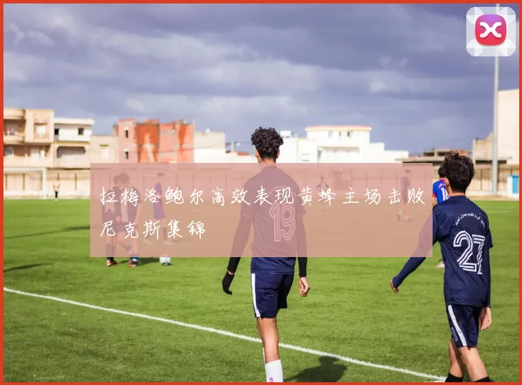 拉梅洛鲍尔高效表现黄蜂主场击败尼克斯集锦