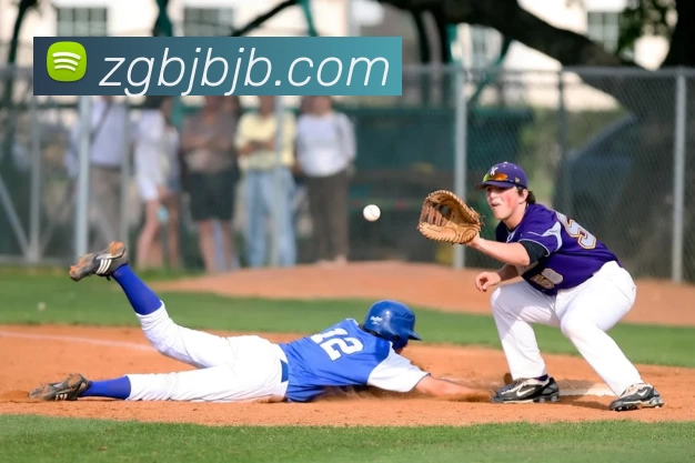 pp电子平台生态图